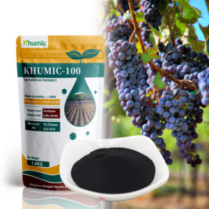 100% Natural Excessive Purity Potassium Humate – Pure Humic Acid Powder from Leonardite – Water Soluble Tremendous Potassium Humate – Purchase Now at Khumic100!