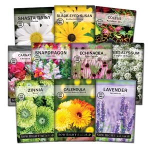 Assortment of 10 Packets of Sow Proper Seeds: Giant Combine Flower Seeds for Gardening – Non-GMO Heirloom Seeds for Planting