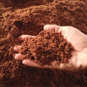 Nutrient-Wealthy Cocopeat Soil for Indoor and Out of doors Gardens & Crops – Coco Coir