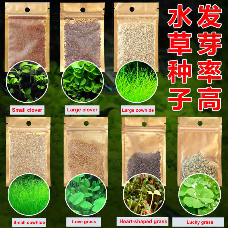 Premium Aquatic Plant Seeds for Aquarium Landscaping - Cowhide Clover Selection - Real Water Plant Seed