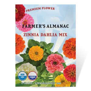 Premium Non-GMO Open Pollinated Zinnia Seeds – Farmer’s Almanac Dahlia Combine, Roughly 200 Flower Seeds for USA Flower Pots and Planters