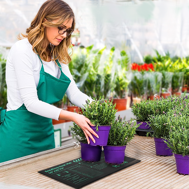 Skilled Residence Backyard Planting Provides Seed Warmth Mat for Seedling Development